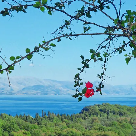 Anna Castello 3* Ipsos